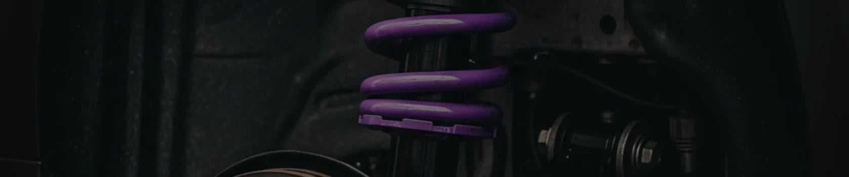 Lowering Springs
