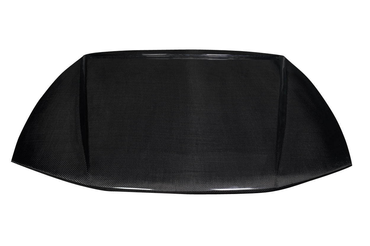 Hoods 119282 Carbon Creations