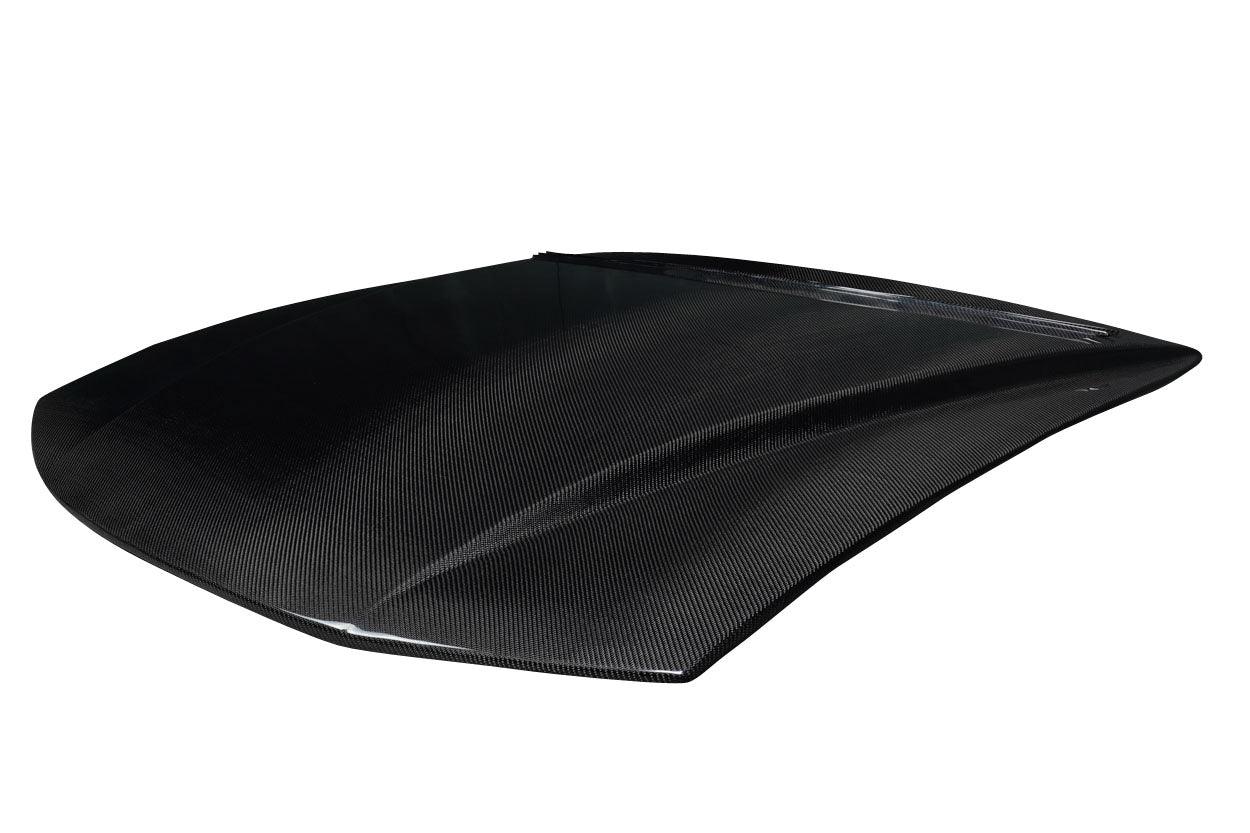 Hoods 119282 Carbon Creations