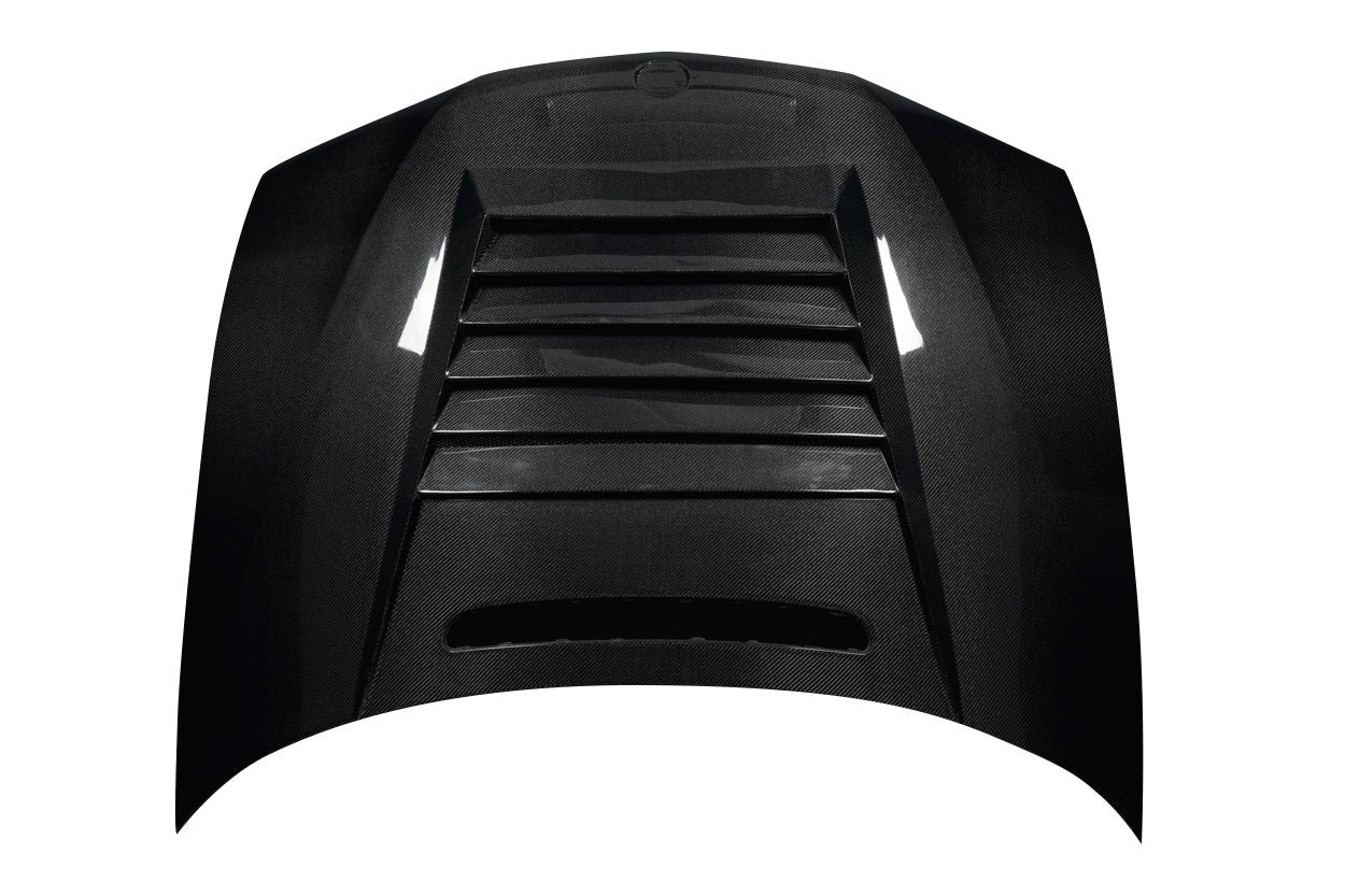 Hoods 119363 Carbon Creations