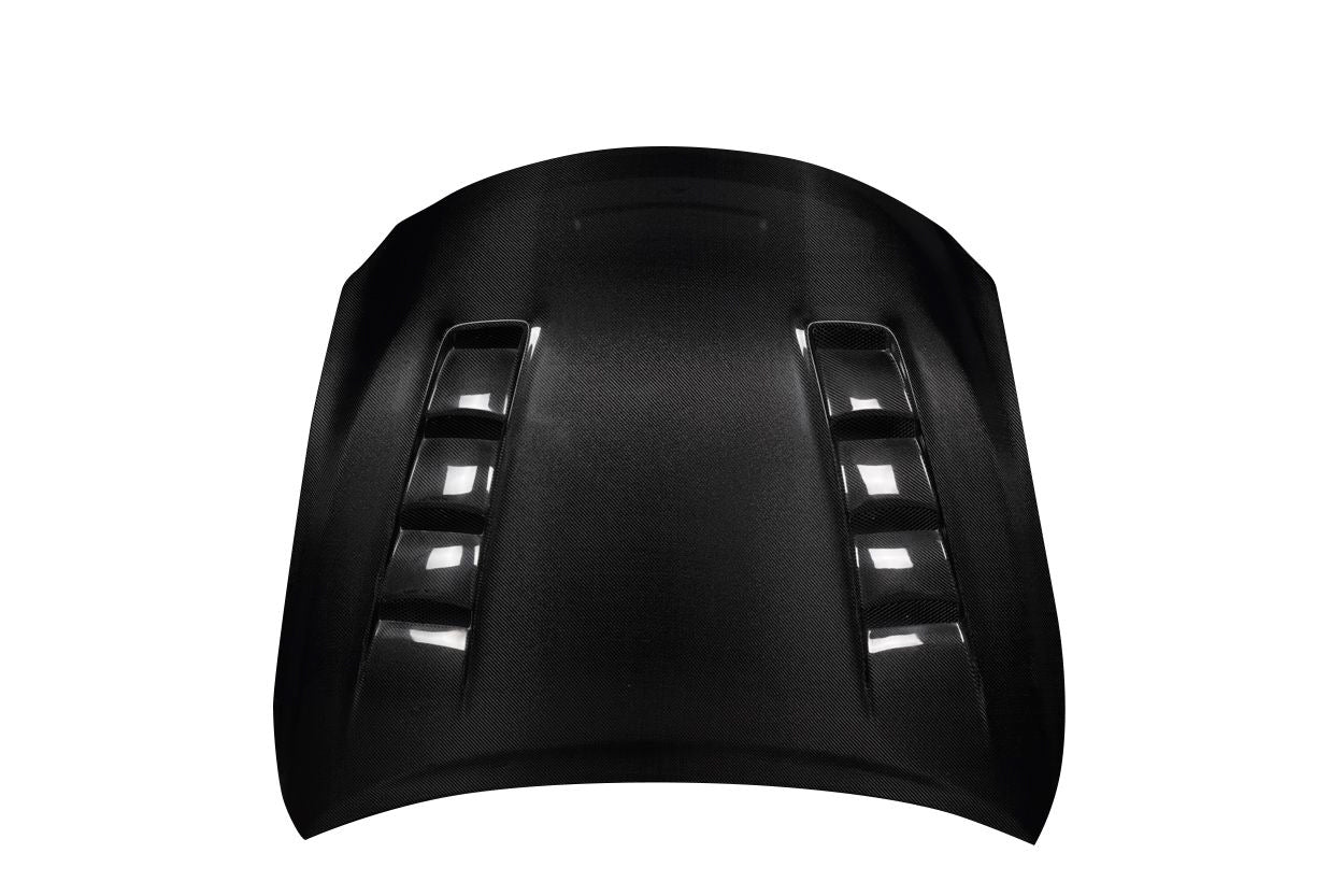 Hoods 114416 Carbon Creations