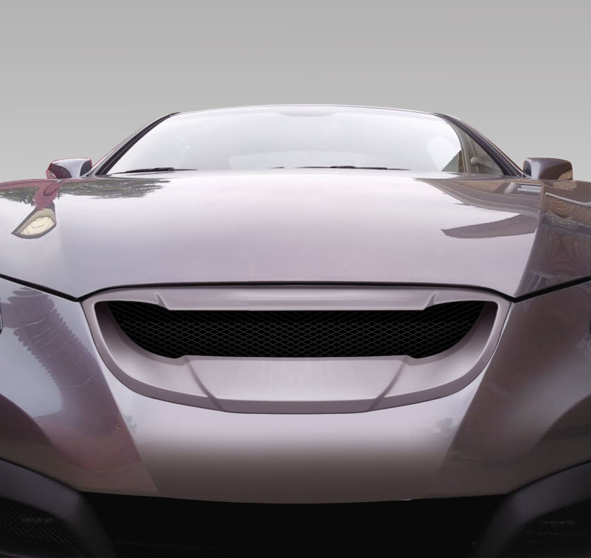 Grilles 108670 Duraflex