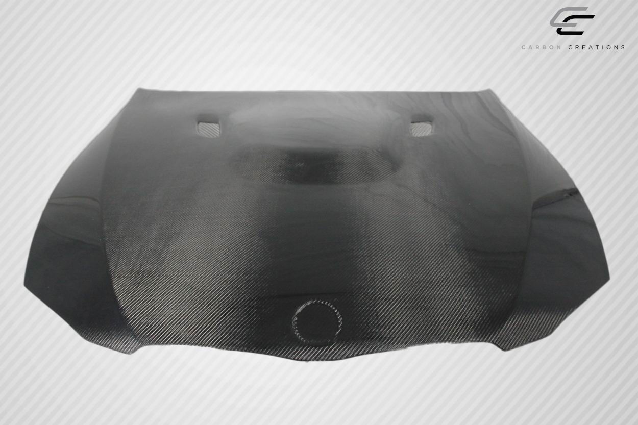 Hoods 113003 Carbon Creations