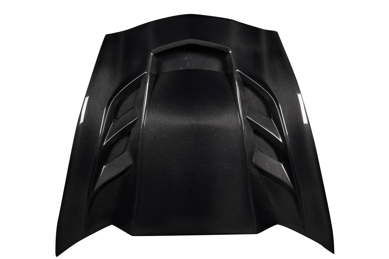 Hoods 119934 Carbon Creations