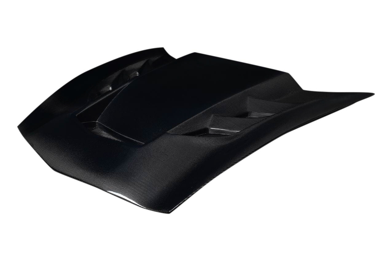 Hoods 119934 Carbon Creations