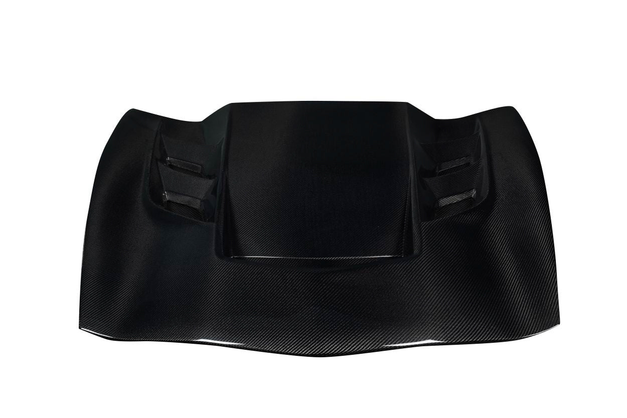 Hoods 119934 Carbon Creations