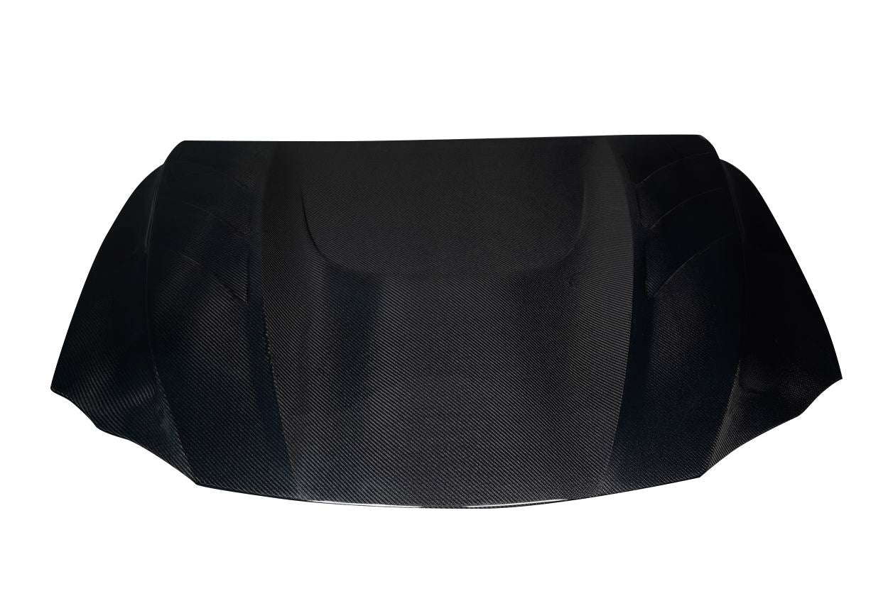 Hoods 119917 Carbon Creations