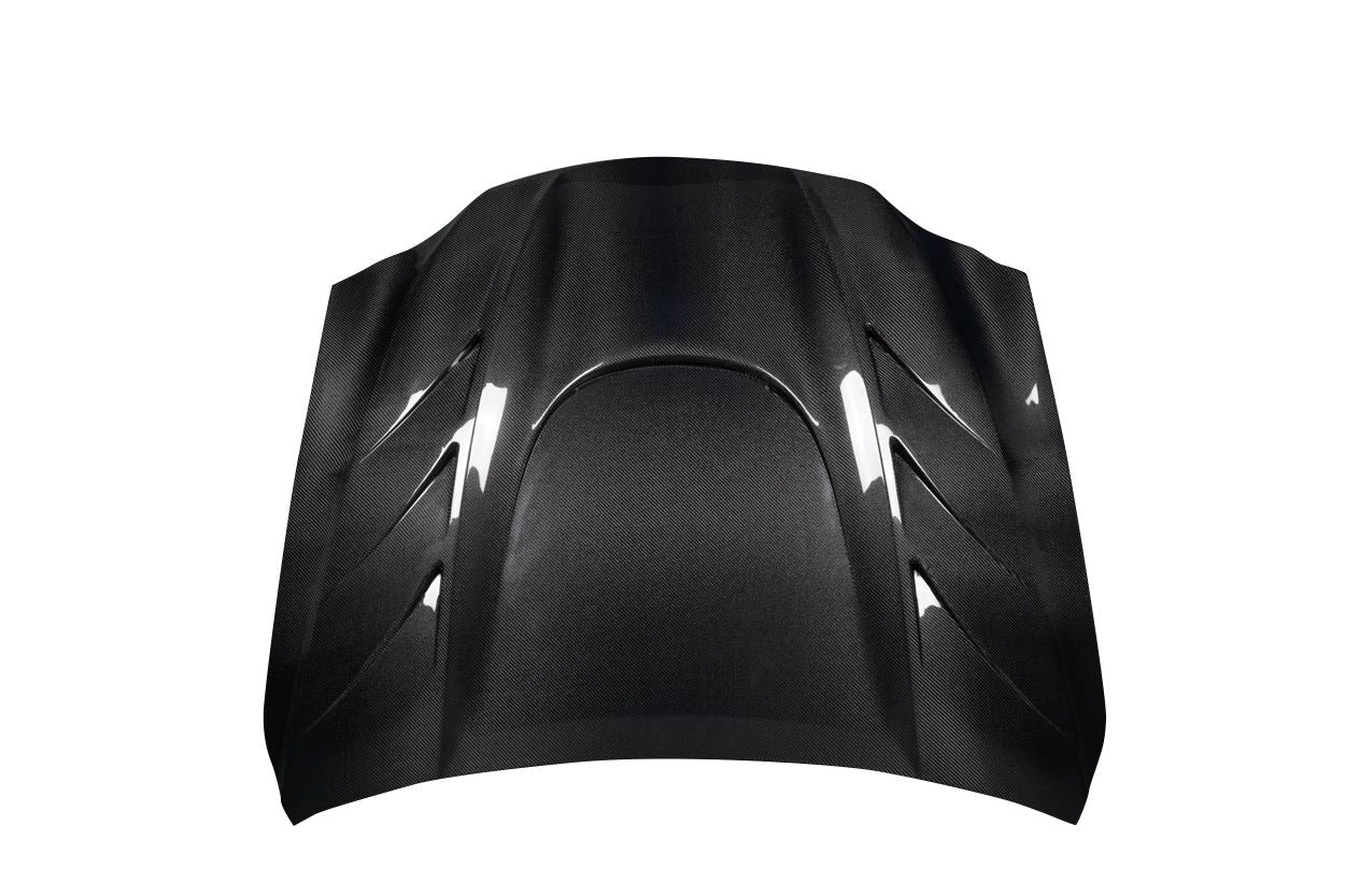 Hoods 119917 Carbon Creations
