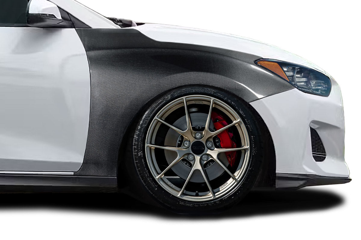 Fenders 118603 Carbon Creations