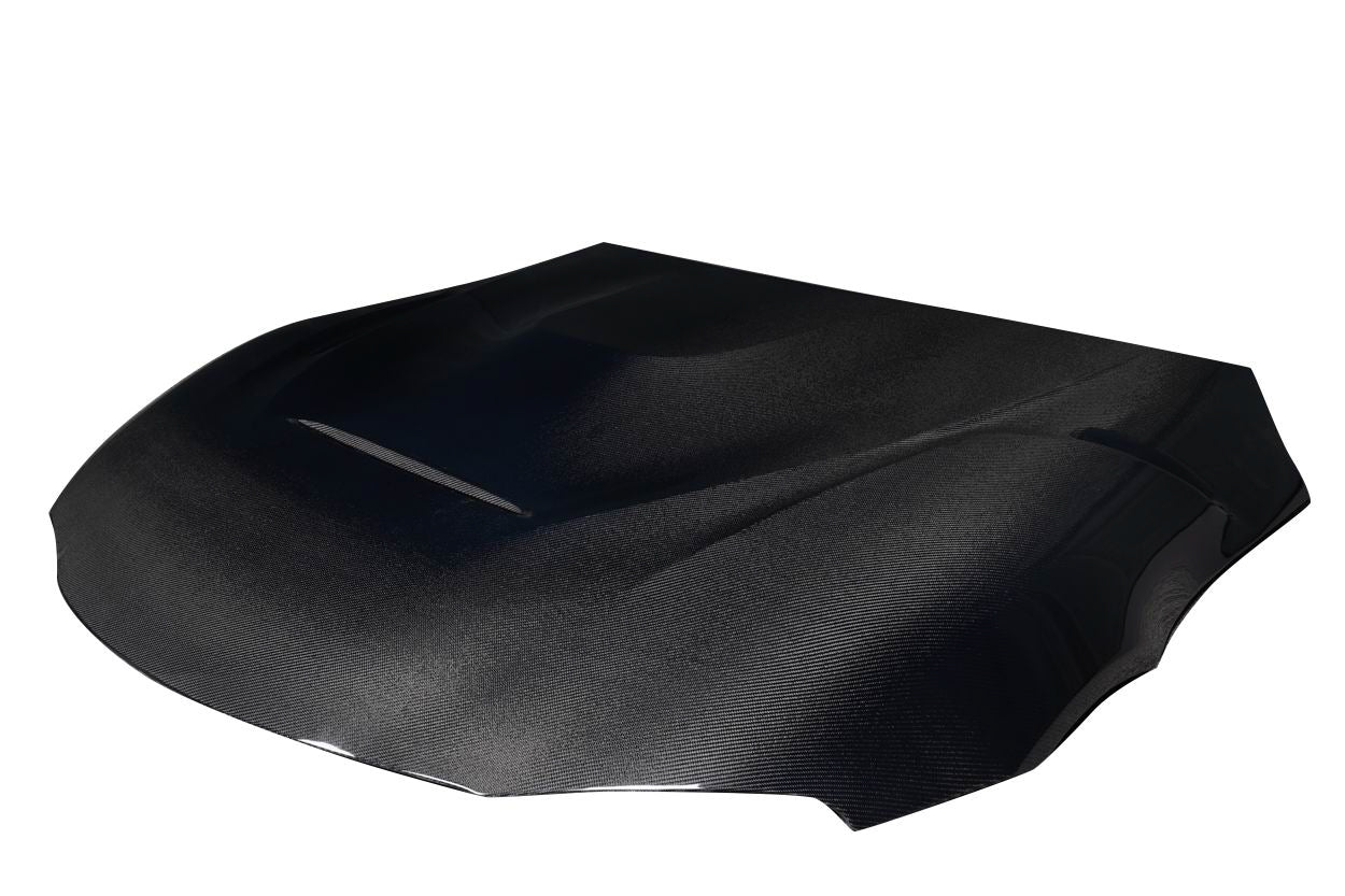 Hoods 119302 Carbon Creations