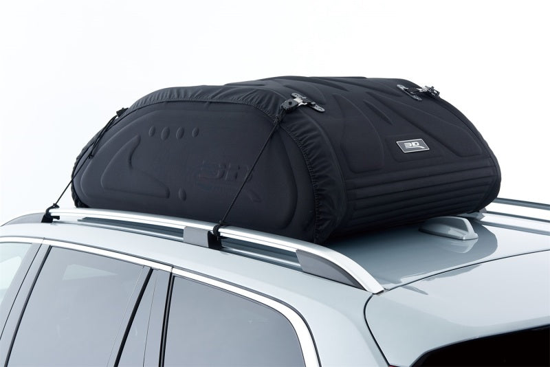 Roof Baskets ACE6096-09 3D MAXpider