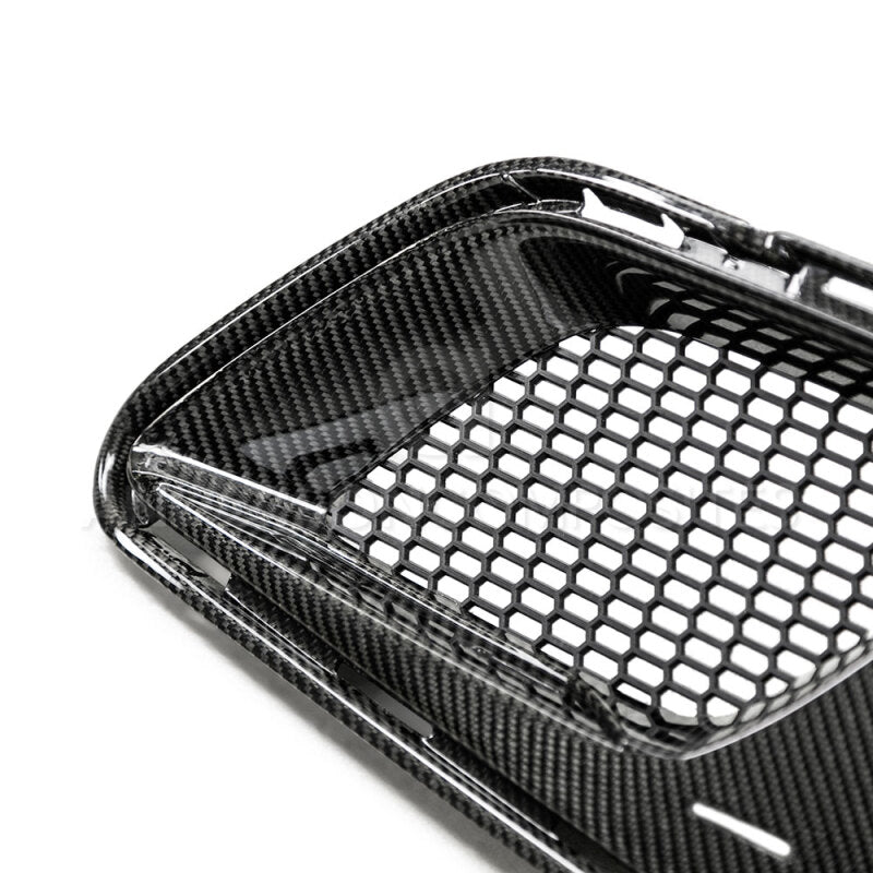 Carbon Accessories ANDAC-ADB17CHCAMZL-LE Anderson Composites