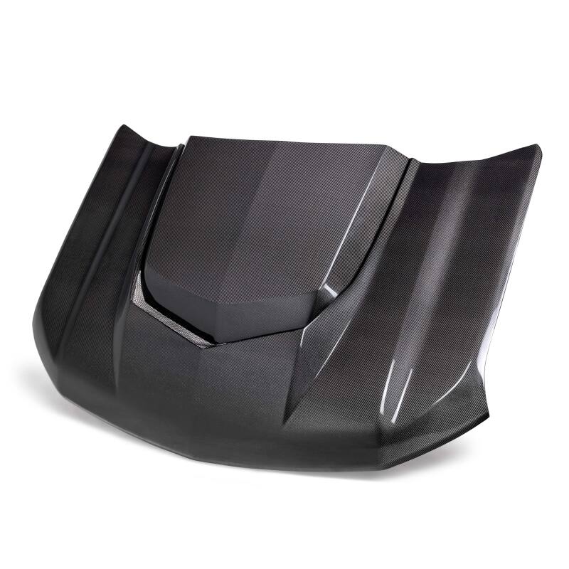 Hoods ANDAC-HD20CHSV-AZ Anderson Composites