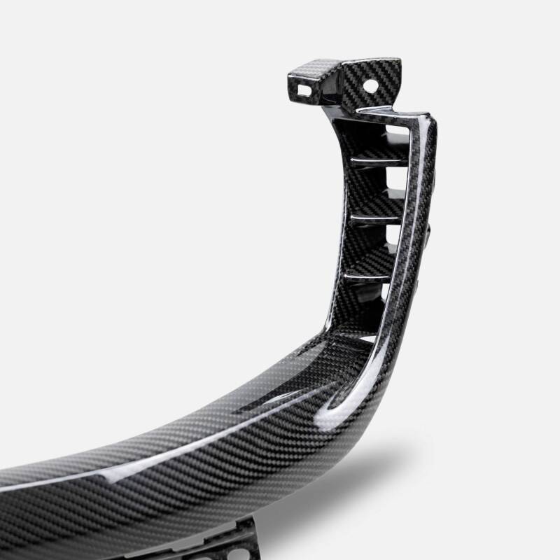 Carbon Accessories ANDAC-HLS21DGTRX Anderson Composites