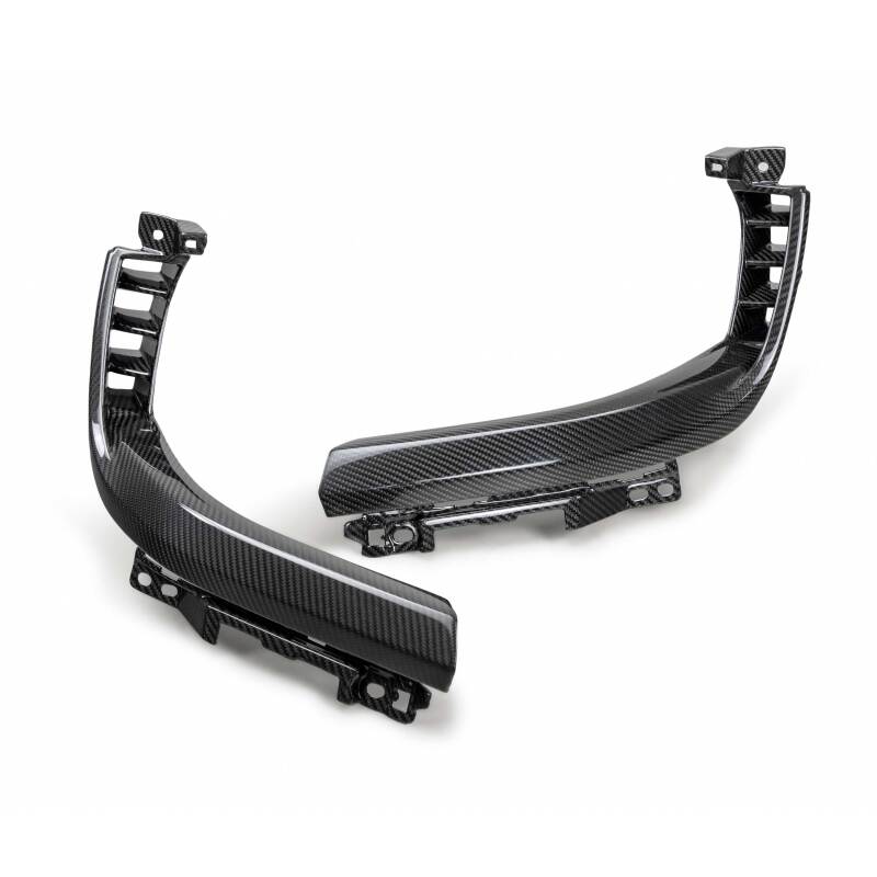 Carbon Accessories ANDAC-HLS21DGTRX Anderson Composites