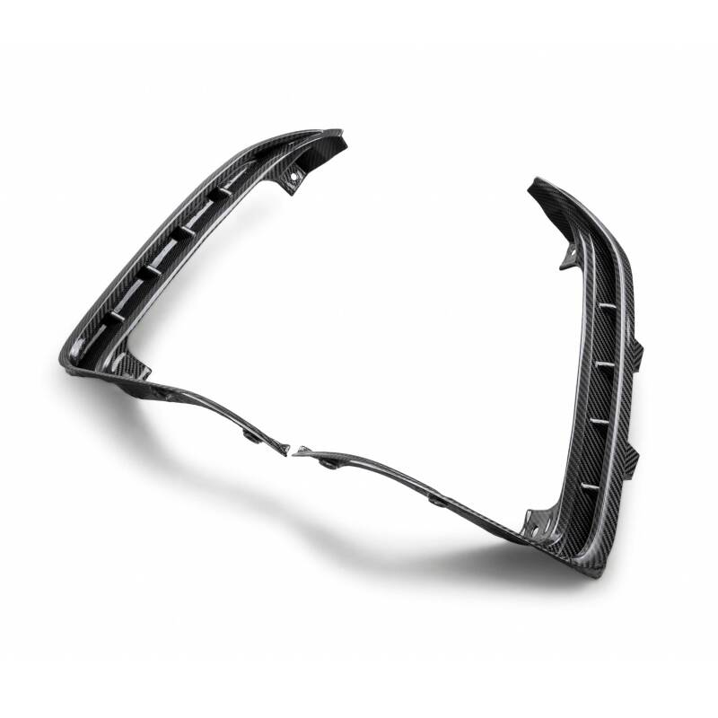 Carbon Accessories ANDAC-TLS21DGTRX Anderson Composites