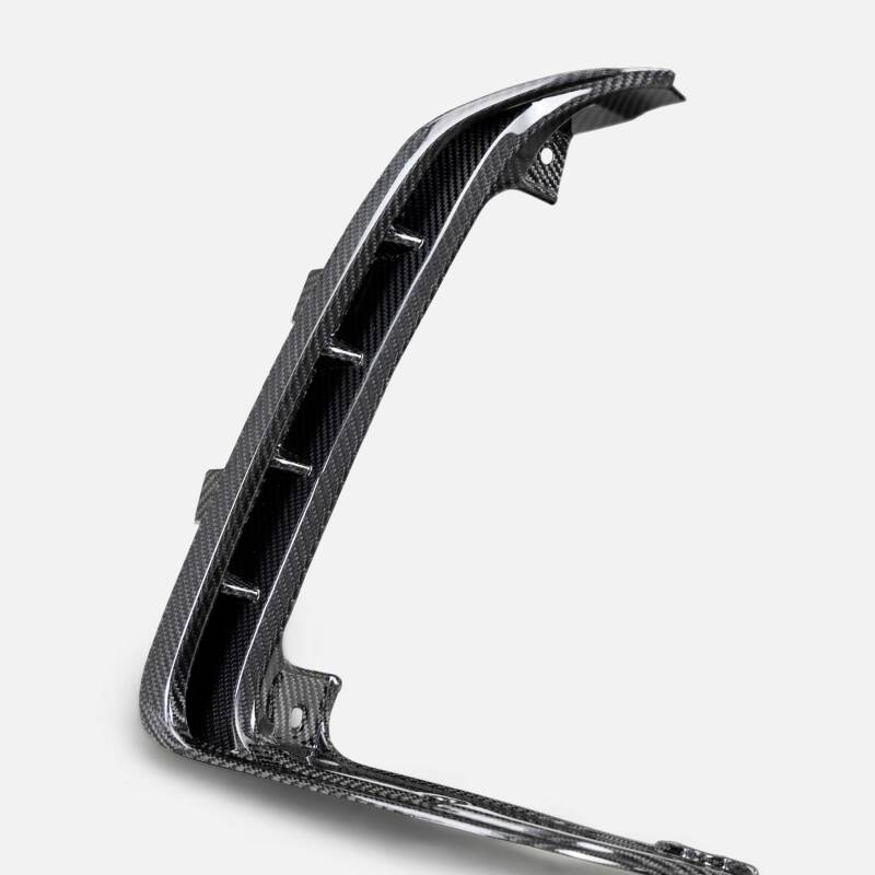 Carbon Accessories ANDAC-TLS21DGTRX Anderson Composites