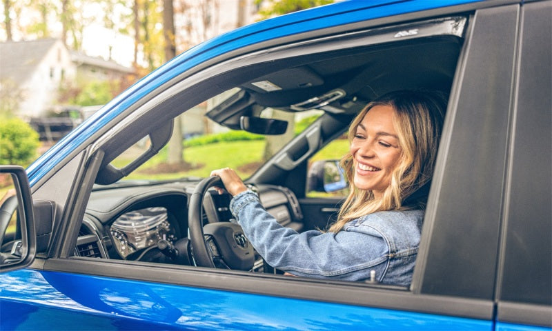 Wind Deflectors AVS194810 AVS