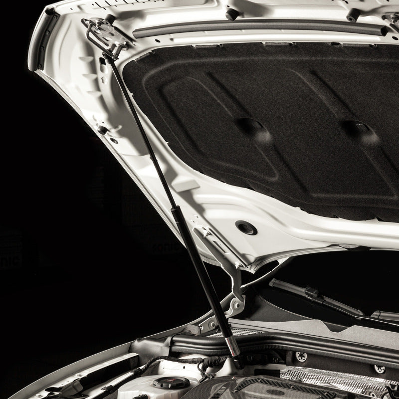 Hood Struts COBB8V3600 COBB