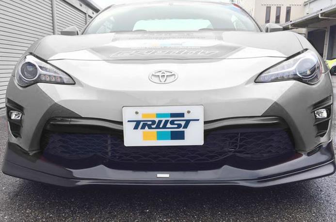 Lips & Splitters GRE17010099 GReddy
