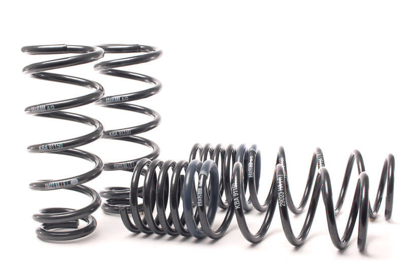 Lowering Springs HRS51856 H&R