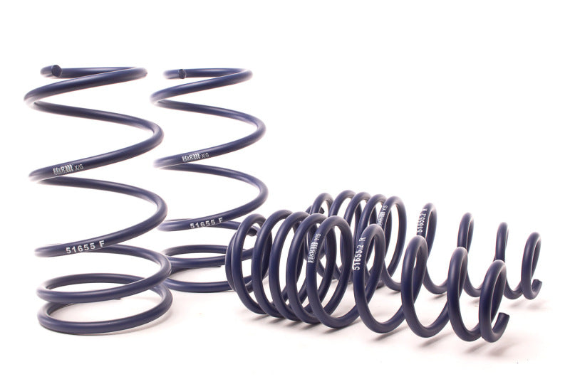 Lowering Springs HRS51690 H&R