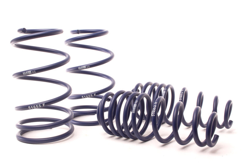 Lowering Springs HRS51690 H&R