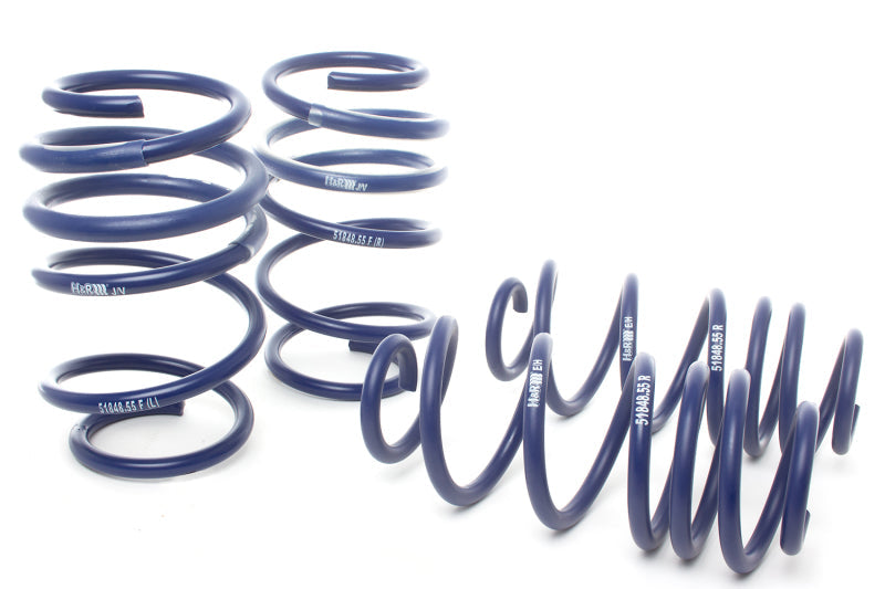 Lowering Springs HRS51848-55 H&R