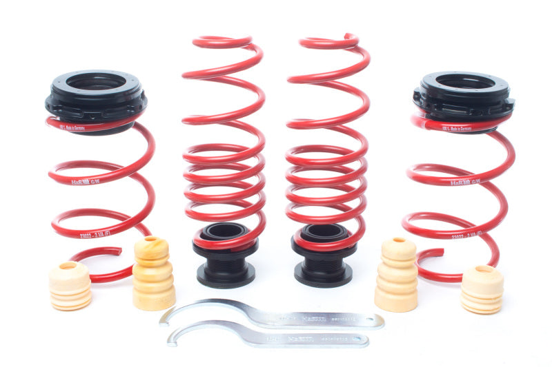 Lowering Springs HRS23022-2 H&R