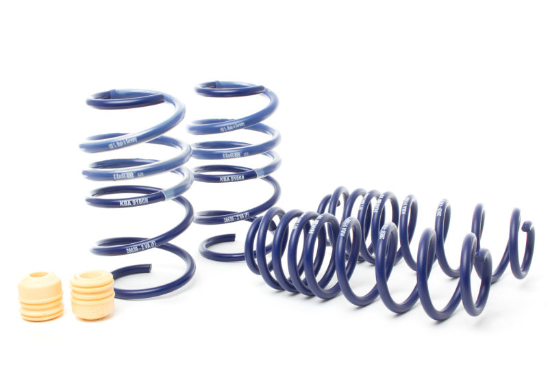 Lowering Springs HRS28639-8 H&R