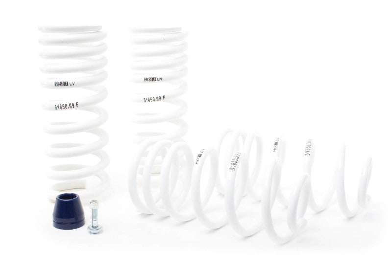 Lowering Springs HRS51650-99 H&R