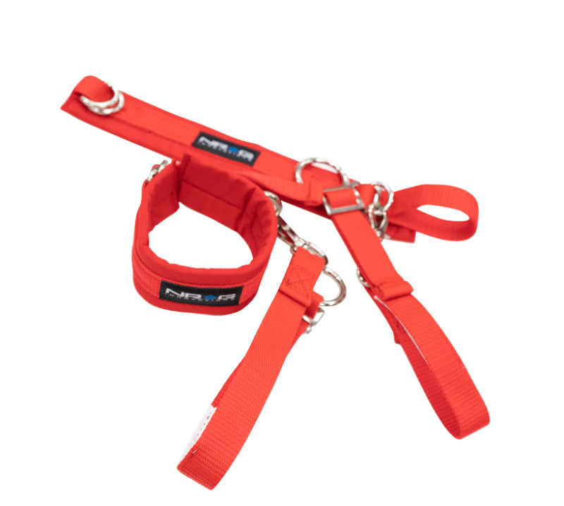 Seat Belts & Harnesses NRGSBH-AR01RD NRG