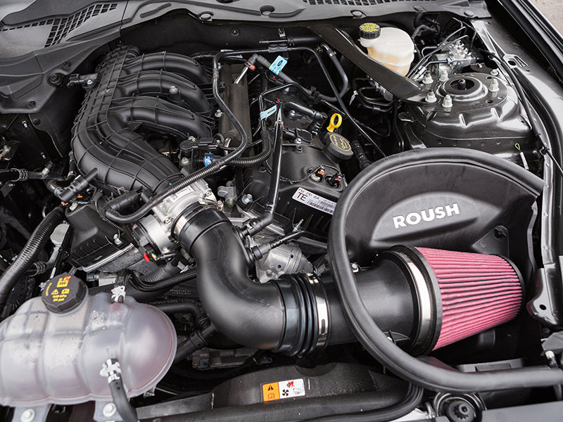 Cold Air Intakes RSH421828 Roush