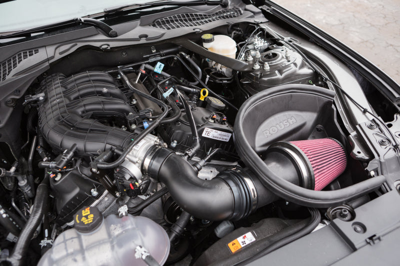 Cold Air Intakes RSH421828 Roush