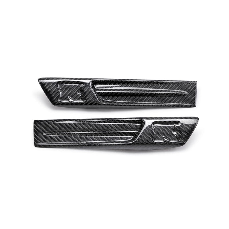 Carbon Accessories SEIFDL0910NSGTR Seibon