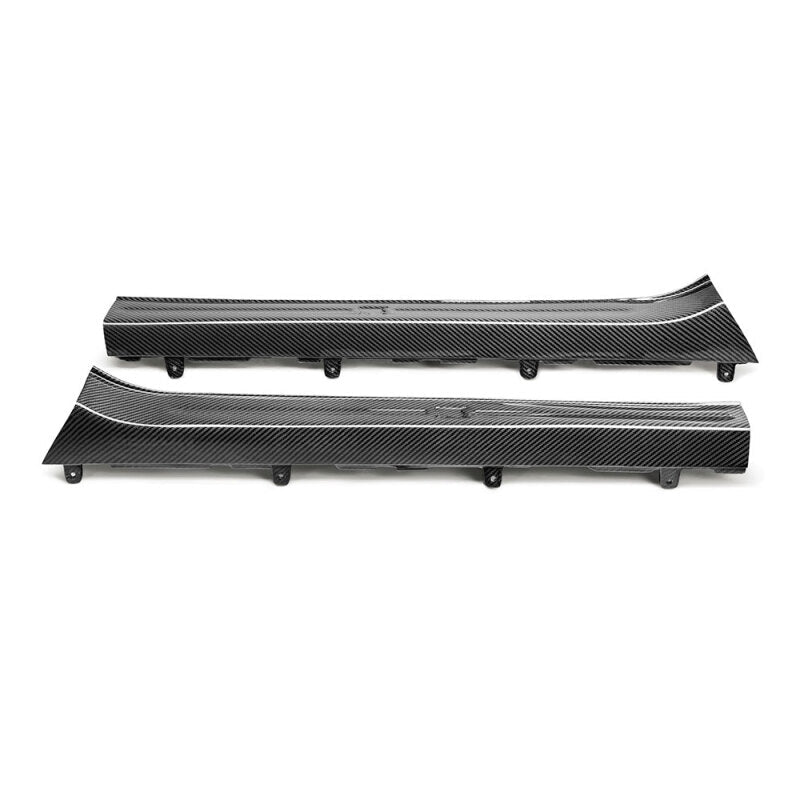 Carbon Accessories SEIDS0910NSGTR Seibon