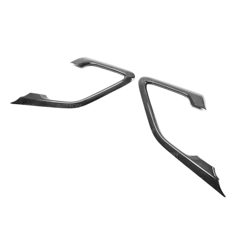 Carbon Accessories SEICFI0910NSGTR-C Seibon
