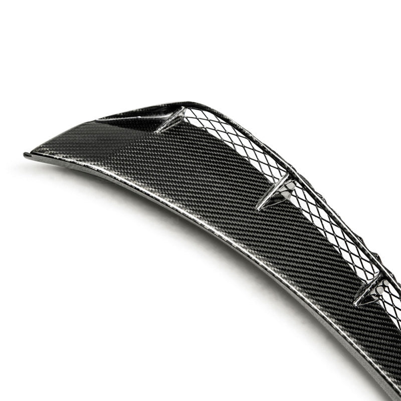 Carbon Accessories SEIFD17HDCVR Seibon