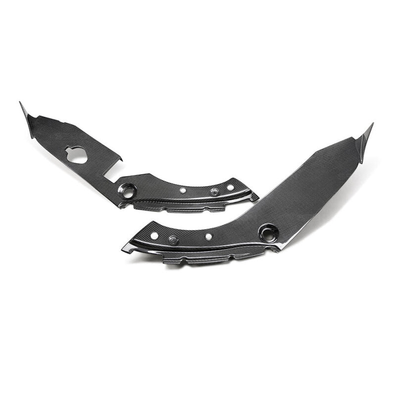 Carbon Accessories SEIIWT17HDCVR Seibon