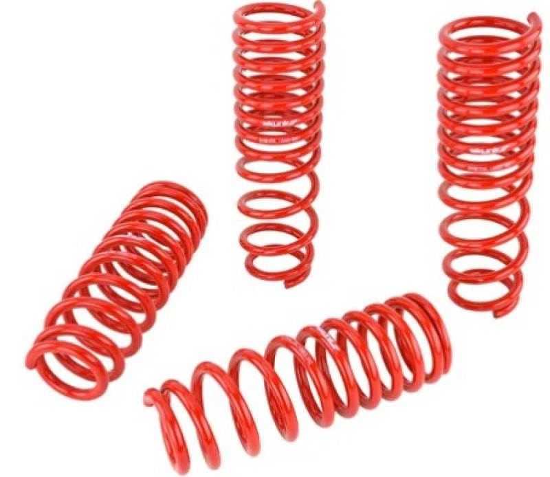 Lowering Springs SKK519-05-0005 Skunk2 Racing
