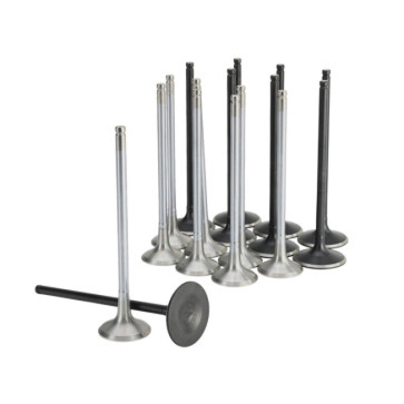 Valves SKK310-05-2000 Skunk2 Racing