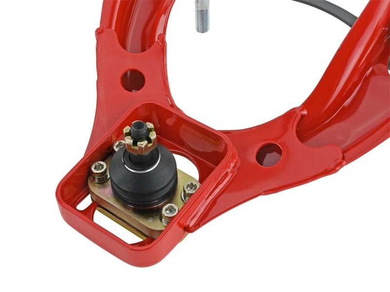 Camber Kits SKK516-05-5675 Skunk2 Racing