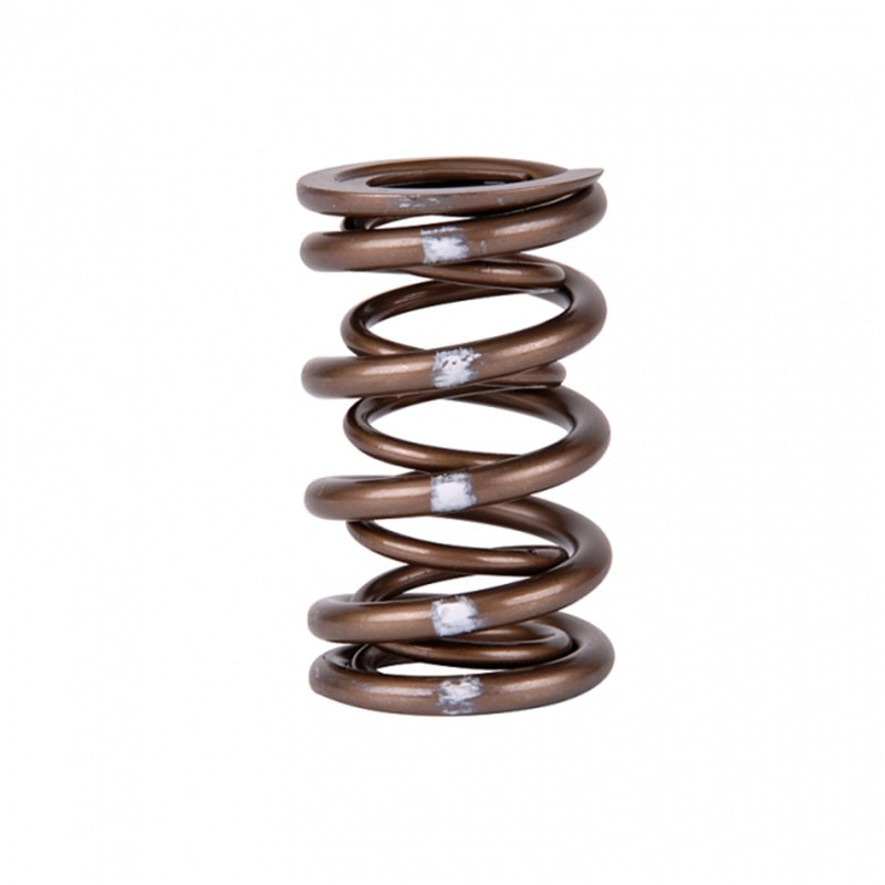 Valve Springs Retainers SKK311-05-7380 Skunk2 Racing