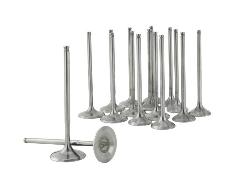 Valves SKK310-05-9310 Skunk2 Racing