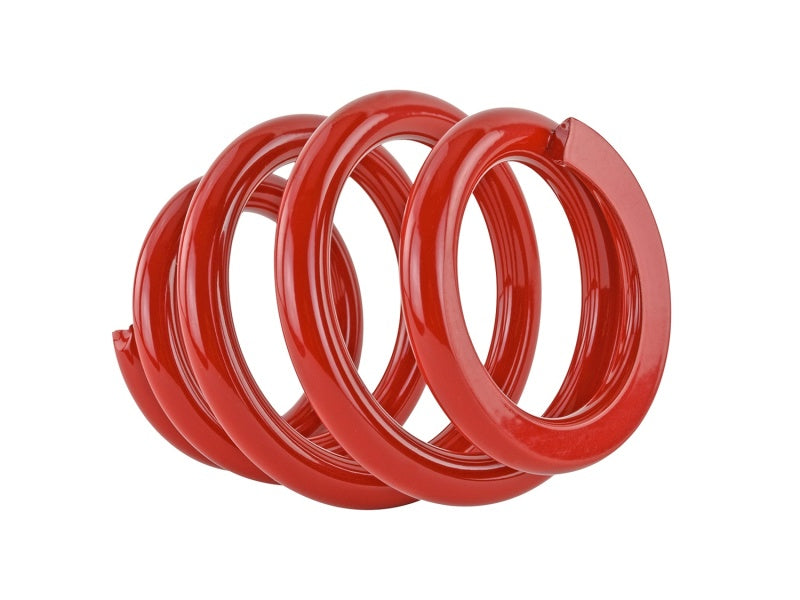 Lowering Springs SKK521-99-1160 Skunk2 Racing