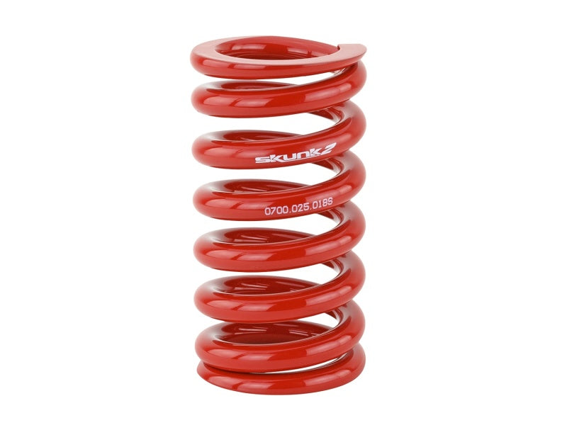 Lowering Springs SKK521-99-1040 Skunk2 Racing