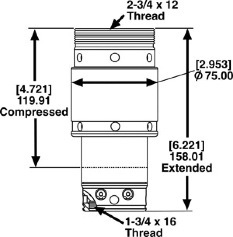 Bump Stops SPC25710 SPC Performance