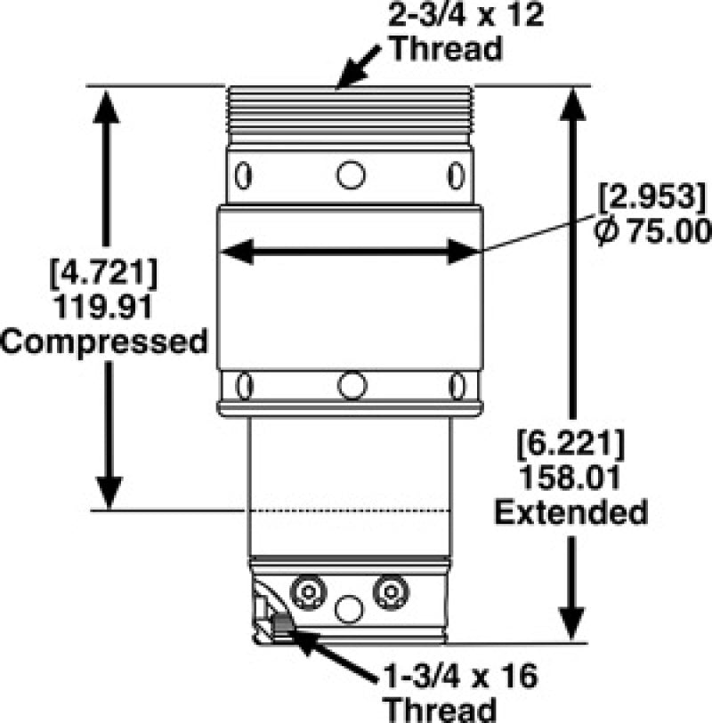 Bump Stops SPC25710 SPC Performance