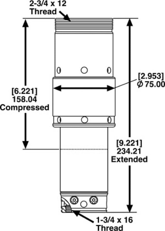 Bump Stops SPC25715 SPC Performance